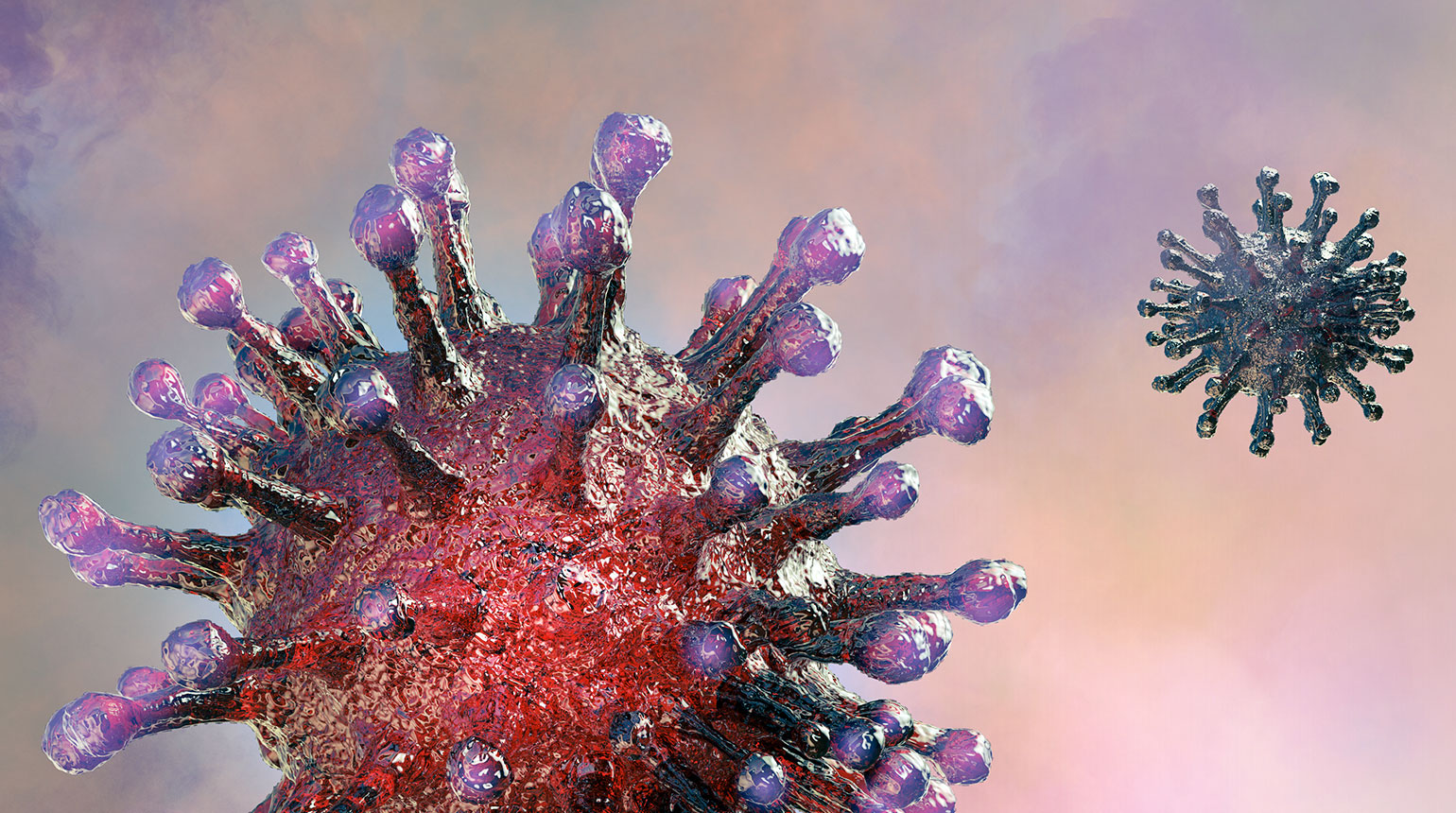3-D-Illustration des Corona-Virus.